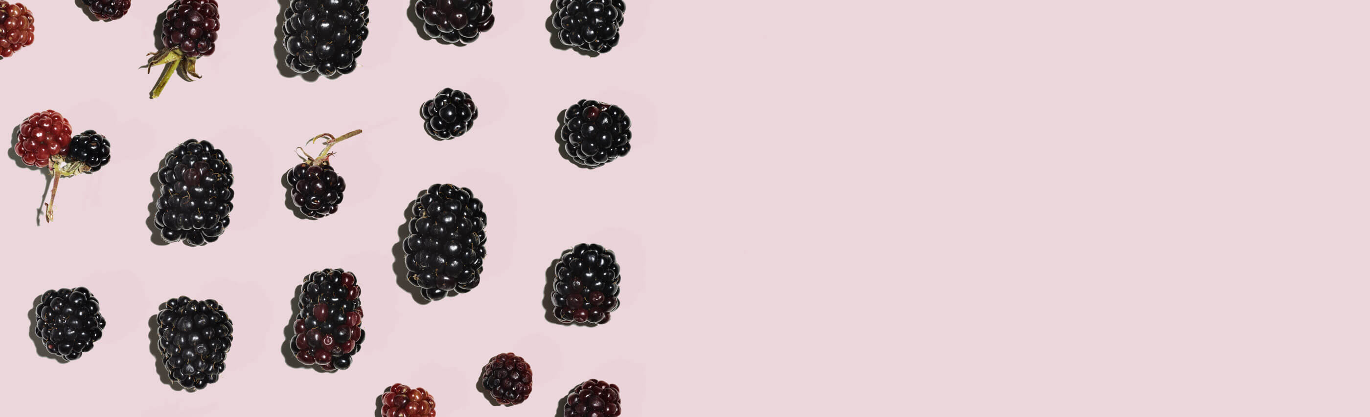 blackberry natural ingredients in aveeno active naturals
